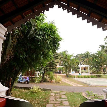 White Square Nirvana, Parra Mapusa Kültér fotó